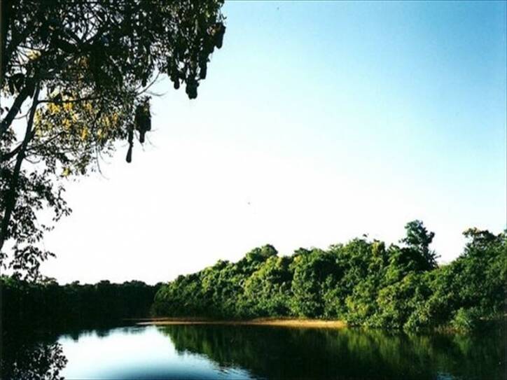 Fazenda em Venda em RURAL Cocalinho