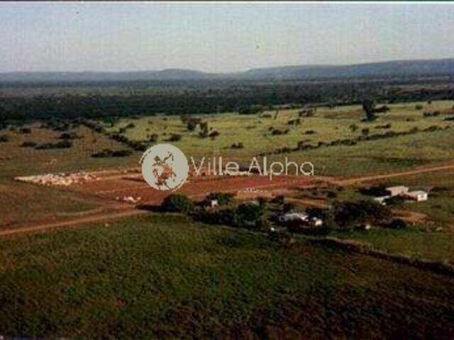 #728 - Fazenda para Venda em Avaí - SP