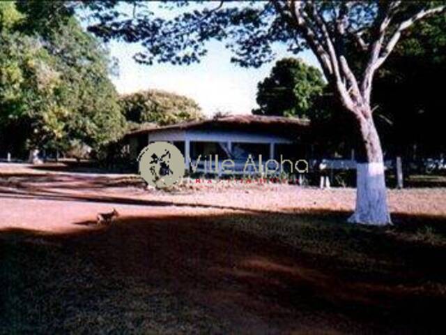 Fazenda para Venda em Avaí - 4