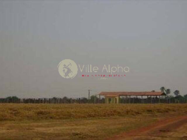 Fazenda para Venda em Avaí - 3