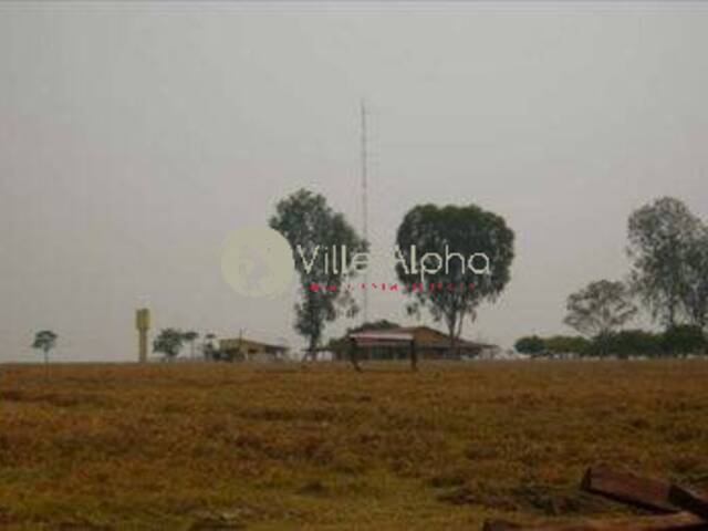 Fazenda para Venda em Avaí - 4