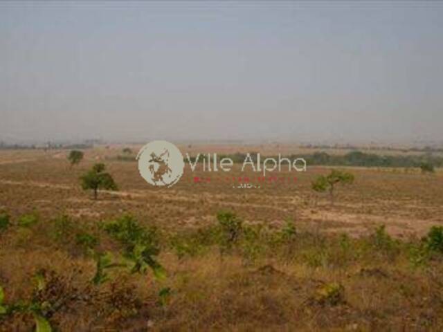 Fazenda para Venda em Avaí - 5