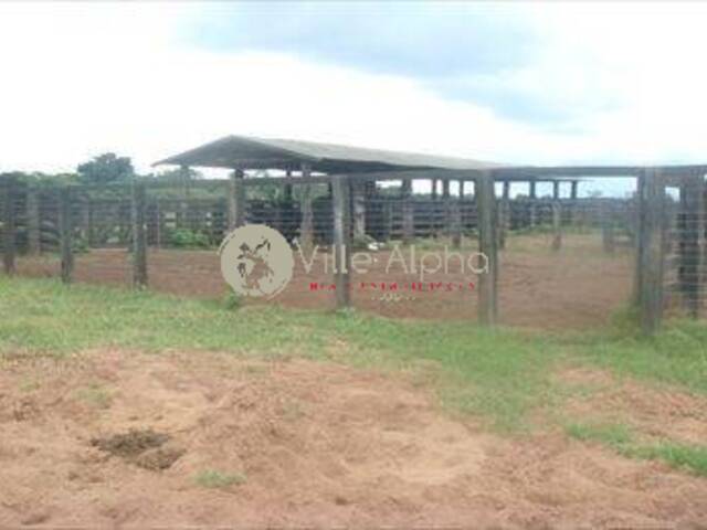 #842 - Fazenda para Venda em Gaúcha do Norte - MT