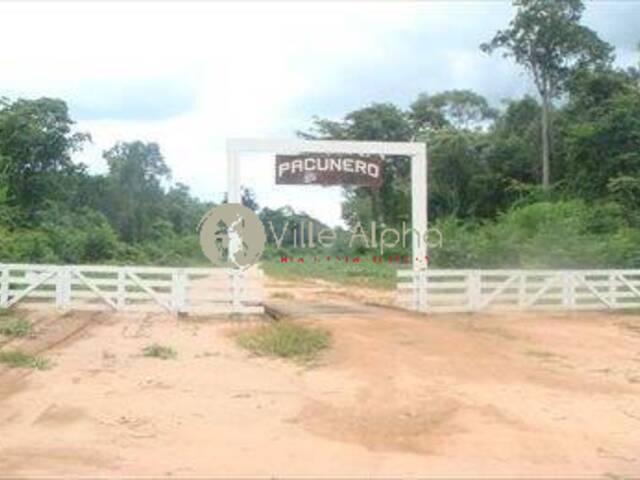 #842 - Fazenda para Venda em Gaúcha do Norte - MT