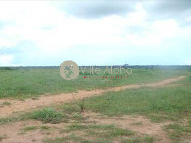 Fazenda para Venda em Gaúcha do Norte - 5