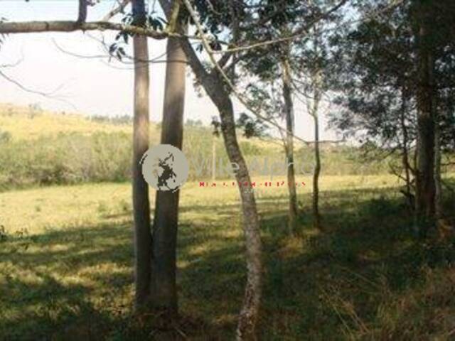 #899 - Fazenda para Venda em Campinas - SP