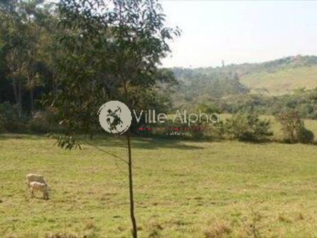 #899 - Fazenda para Venda em Campinas - SP