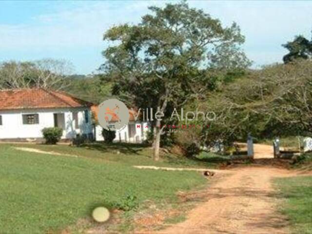 Fazenda para Venda em Jaguariúna - 5