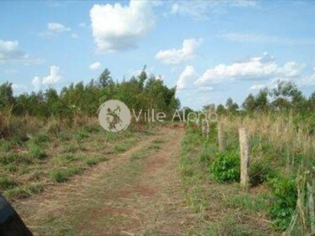 Fazenda para Venda em Ribeirão Preto - 4