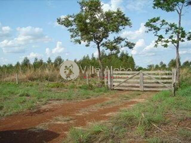 Fazenda para Venda em Ribeirão Preto - 5
