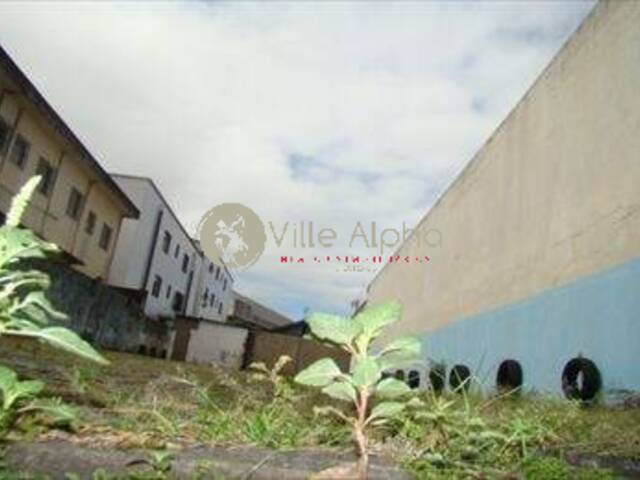Terreno para Venda em Santos - 3