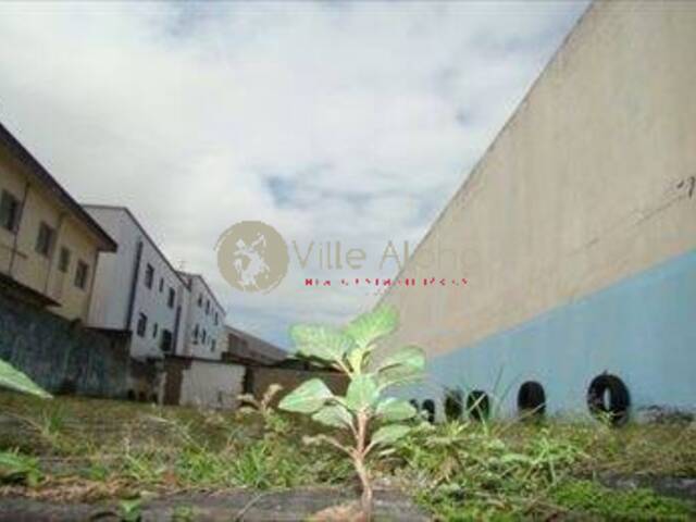 Terreno para Venda em Santos - 4