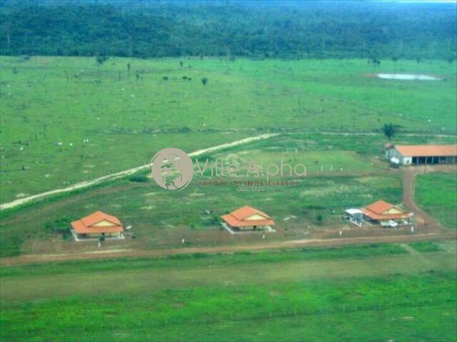 #1252 - Fazenda para Venda em Peixoto de Azevedo - MT
