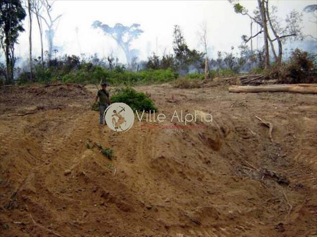 #1252 - Fazenda para Venda em Peixoto de Azevedo - MT