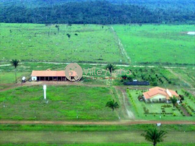 #1252 - Fazenda para Venda em Peixoto de Azevedo - MT