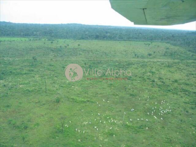 Fazenda para Venda em Peixoto de Azevedo - 5
