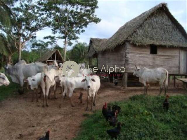 #1259 - Fazenda para Venda em Sena Madureira - AC