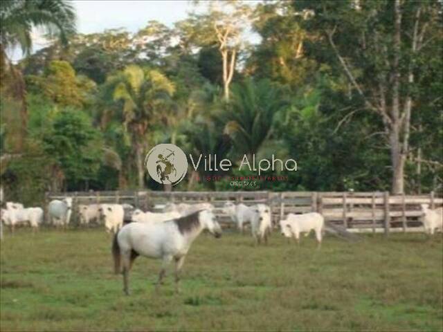 #1259 - Fazenda para Venda em Sena Madureira - AC