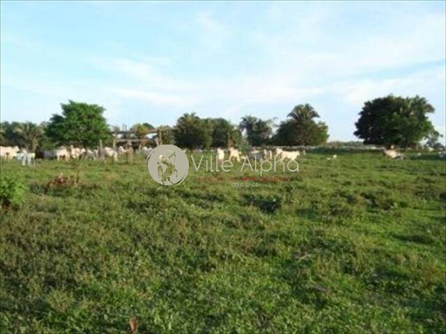 Fazenda para Venda em Sena Madureira - 4