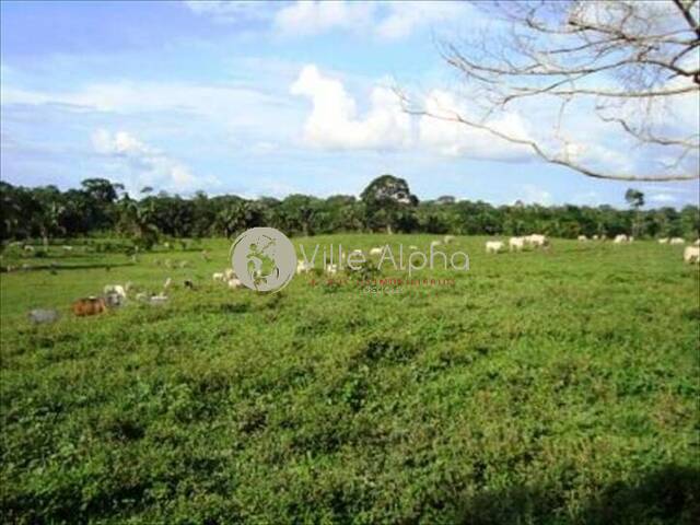 Fazenda para Venda em Sena Madureira - 5