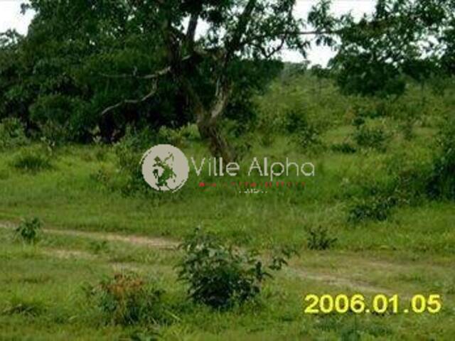 #135 - Terreno para Venda em Santo Antônio do Leste - MT