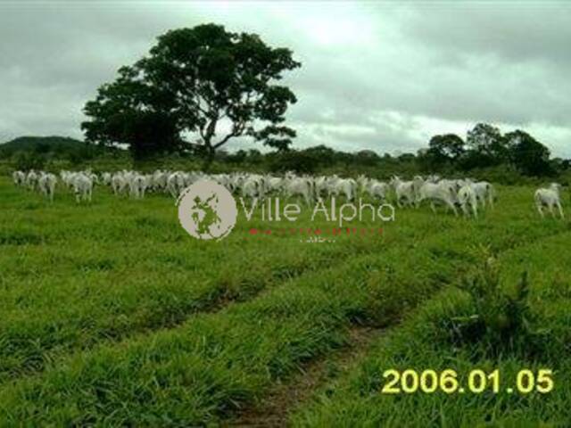 #135 - Terreno para Venda em Santo Antônio do Leste - MT