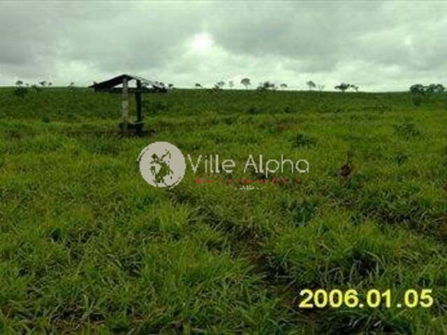 Terreno para Venda em Santo Antônio do Leste - 4