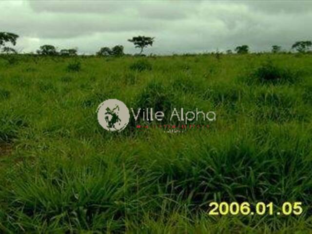 Terreno para Venda em Santo Antônio do Leste - 5