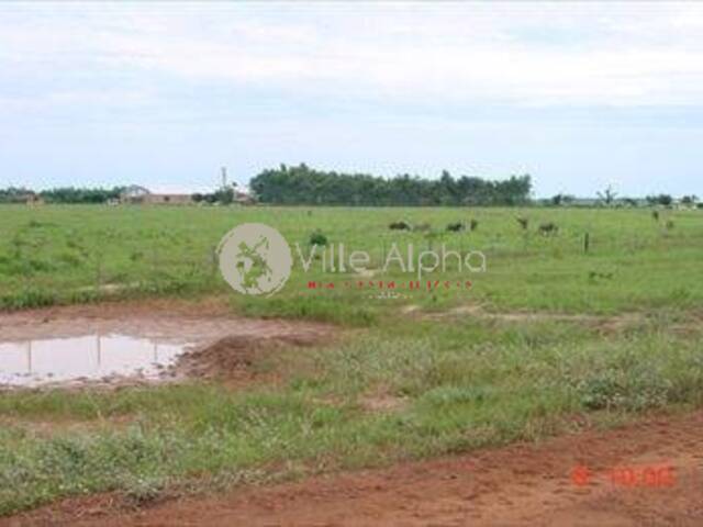 Terreno para Venda em Paranatinga - 5
