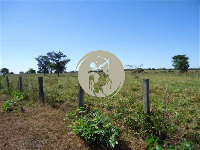 #1292 - Fazenda para Venda em Avaí - SP