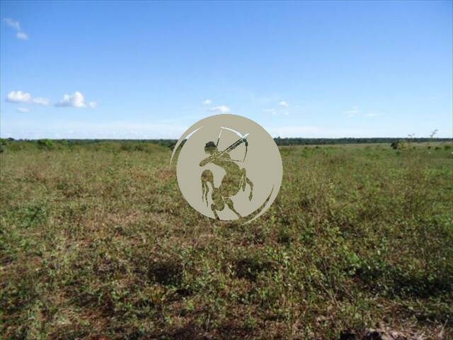 Fazenda para Venda em Avaí - 4