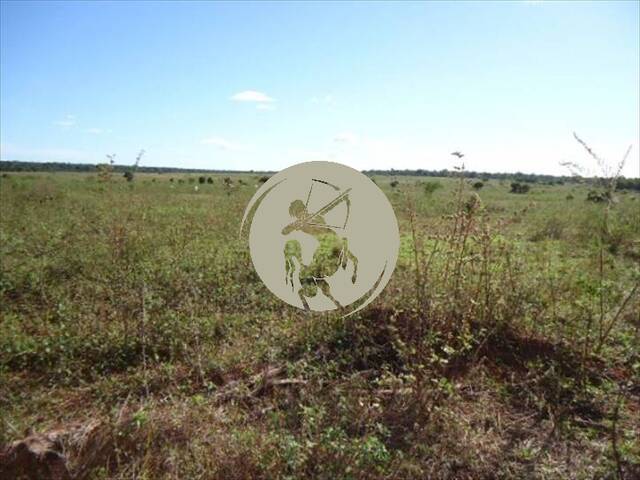 Fazenda para Venda em Avaí - 5