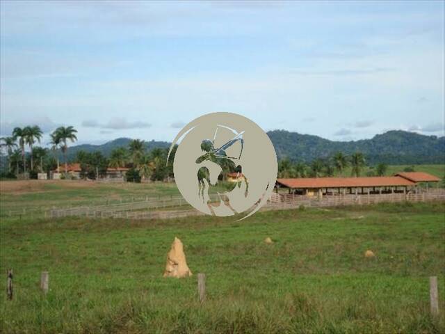 #1296 - Fazenda para Venda em Araguaína - TO