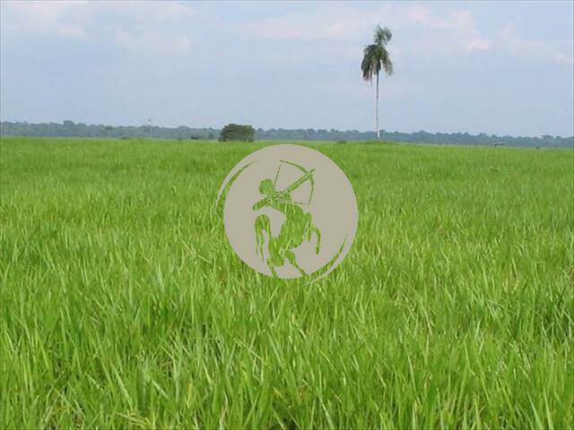 Fazenda para Venda em Araguaína - 5