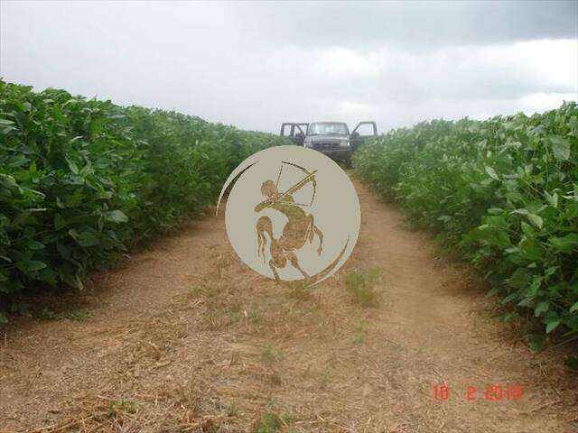 #1320 - Fazenda para Venda em Avaí - SP