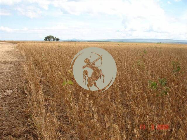 Fazenda para Venda em Avaí - 4