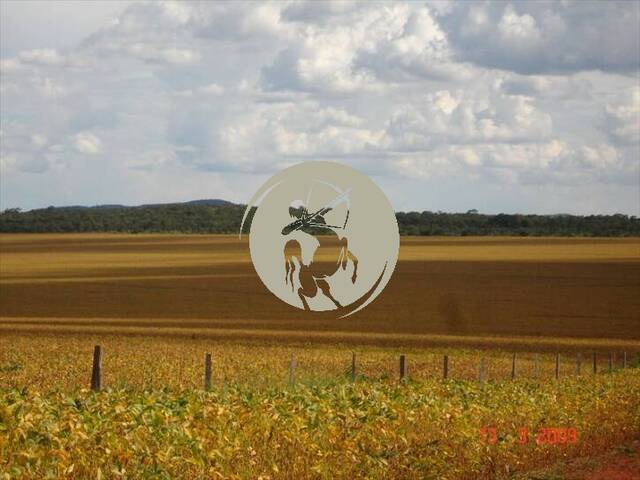 Fazenda para Venda em Avaí - 5