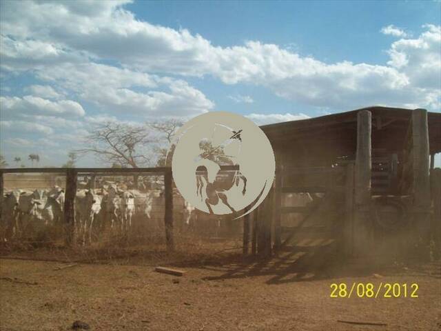 #1321 - Fazenda para Venda em Avaí - SP