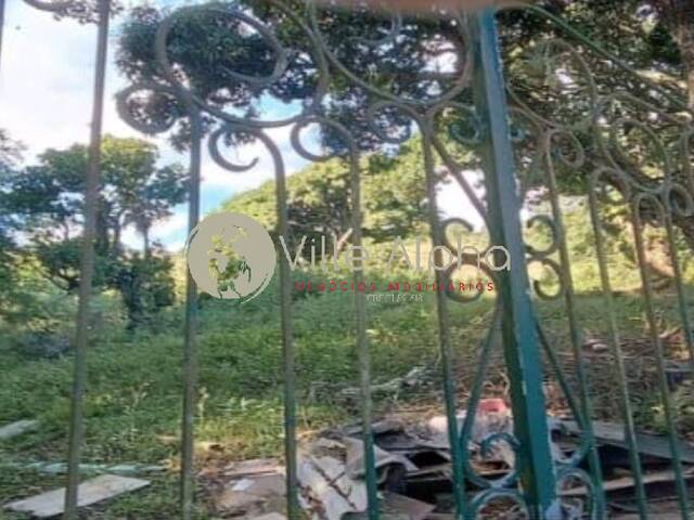 Área para Venda em Ilhabela - 5