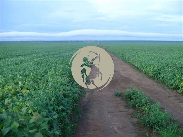 Fazenda para Venda em Avaí - 5