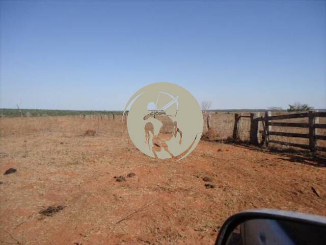 #1331 - Fazenda para Locação em Ribeirão Cascalheira - MT