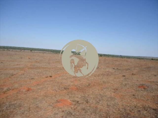 Fazenda para Locação em Ribeirão Cascalheira - 5