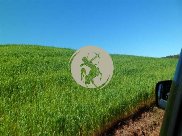 Fazenda para Venda em Avaí - 4