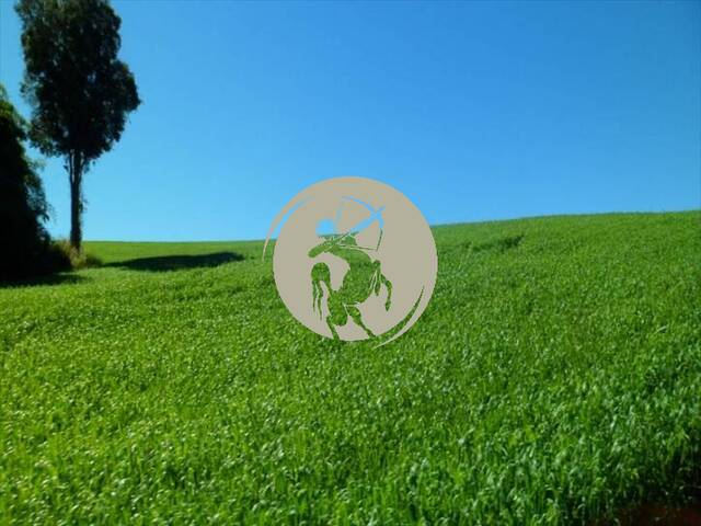 Fazenda para Venda em Avaí - 5