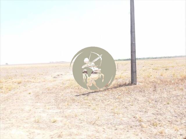 Fazenda para Venda em Avaí - 4