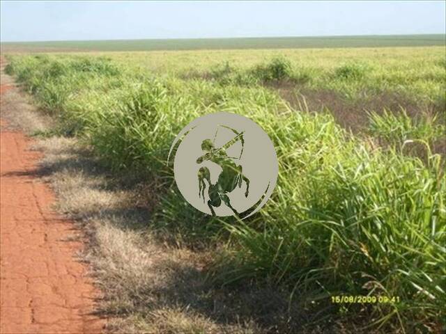 #1349 - Fazenda para Venda em Avaí - SP