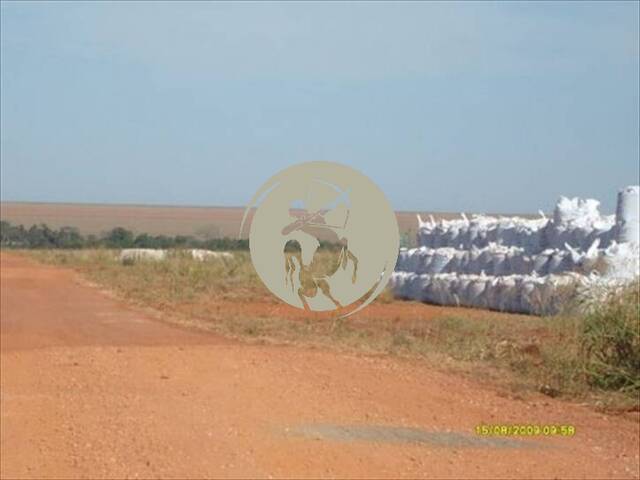 Fazenda para Venda em Avaí - 4
