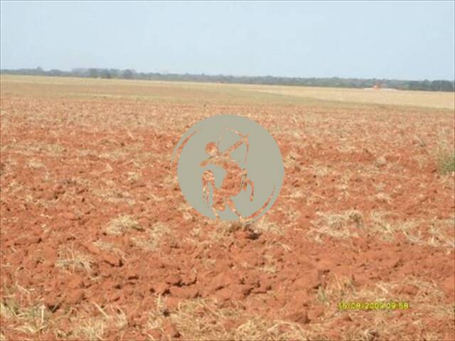 Fazenda para Venda em Avaí - 5