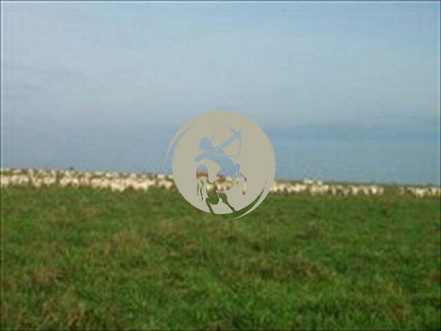 Fazenda para Venda em Avaí - 5