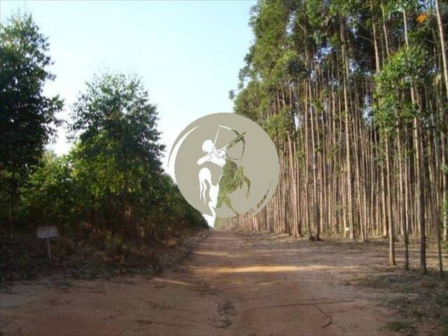 Fazenda para Venda em Avaí - 5